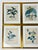 Elevate your space with this exceptional, cohesive set of six (6) authentic, hand-colored botanical copper-plate...