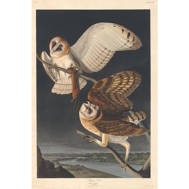 A remarkable collection of four double-sided vintage bird prints after John James Audubon, featuring eight celebrated...