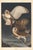 A remarkable collection of four double-sided vintage bird prints after John James Audubon, featuring eight celebrated...