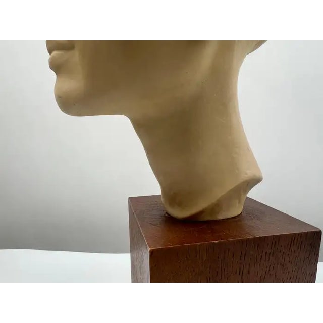 Louvre Museum Reproduction Classical Male Bust, French Plaster Sculpture on Wood 1990's For Sale - Image 9 of 17