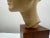 Louvre Museum Reproduction Classical Male Bust, French Plaster Sculpture on Wood 1990's For Sale - Image 9 of 17
