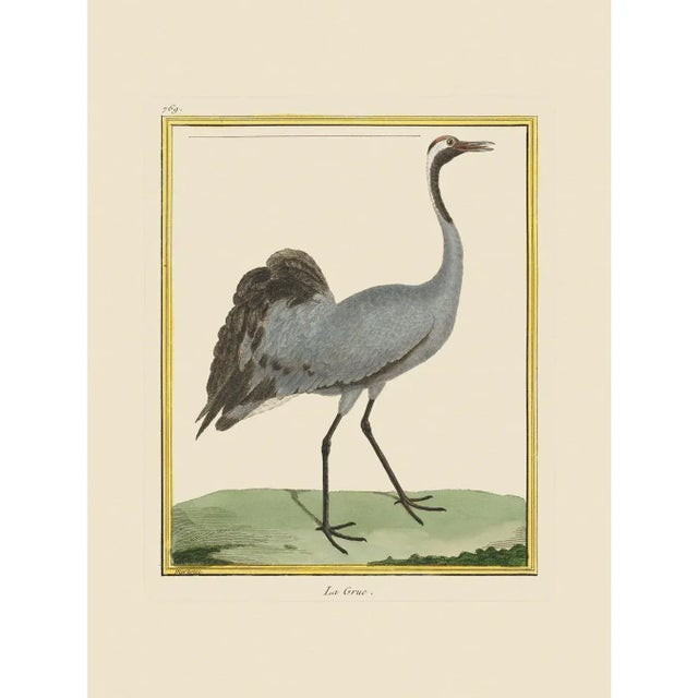 Crane by Martinet Blue and Pink Giclee Reproductions For Sale