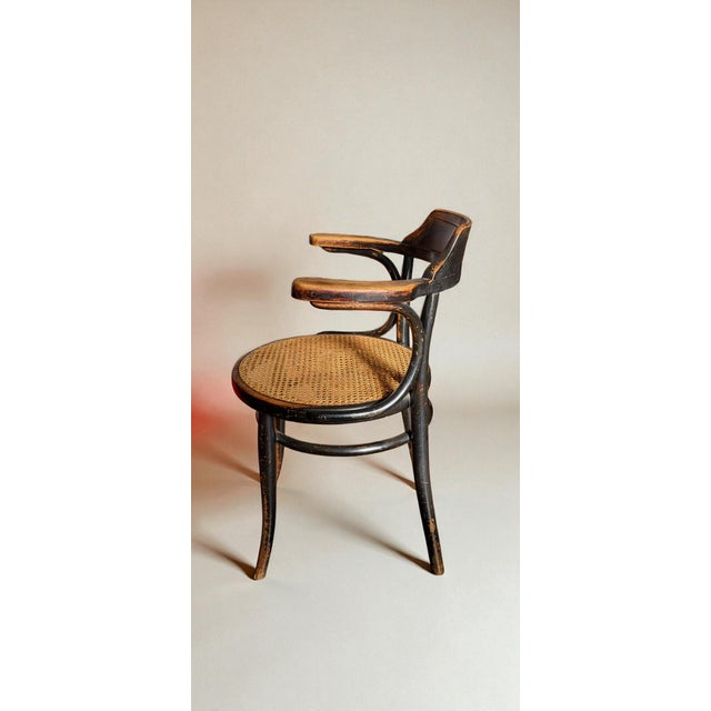 Vintage No. 6003 Armchair in Bentwood by Michael Thonet for Thonet, 1890s For Sale - Image 5 of 11
