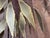 Tree Sculpture from Daniel dHaeseleer For Sale - Image 6 of 12