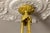 Gold French Neoclassical Style Bronze and Frosted Glass Four-Light Chandelier, 1920 For Sale - Image 8 of 18