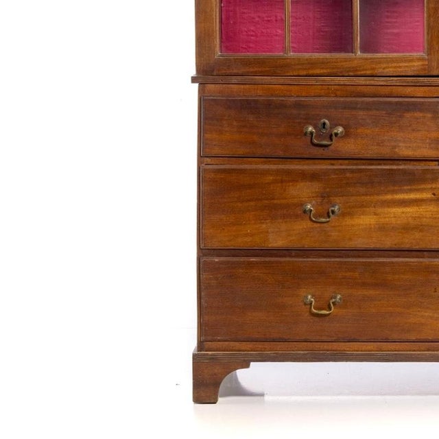 Queen Mary Bookcase in Vinhatico Wood, 19th Century For Sale - Image 3 of 6