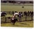 1990s "100 Runnings of the Maryland Hunt Cup" 1997 Worrall, Margaret (Signed) For Sale - Image 5 of 12