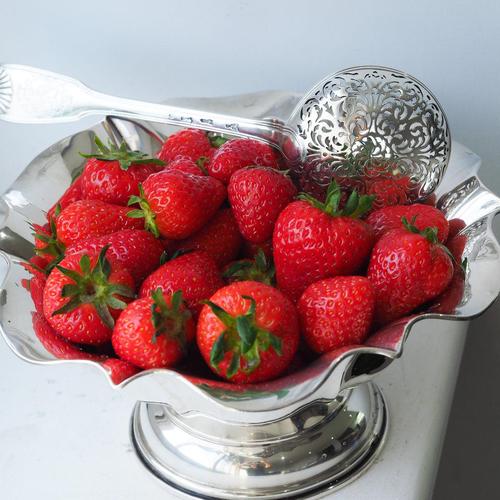 Antique Silver Bowl, 1880 For Sale - Image 6 of 18