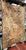 1930s French Aubusson Style Country Scene Tapestry For Sale - Image 10 of 10