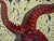 Salvador Dali (1904-1989) (after) The starfish Glazed ceramic, signed One of the 6 ceramics designed by the master Signed...