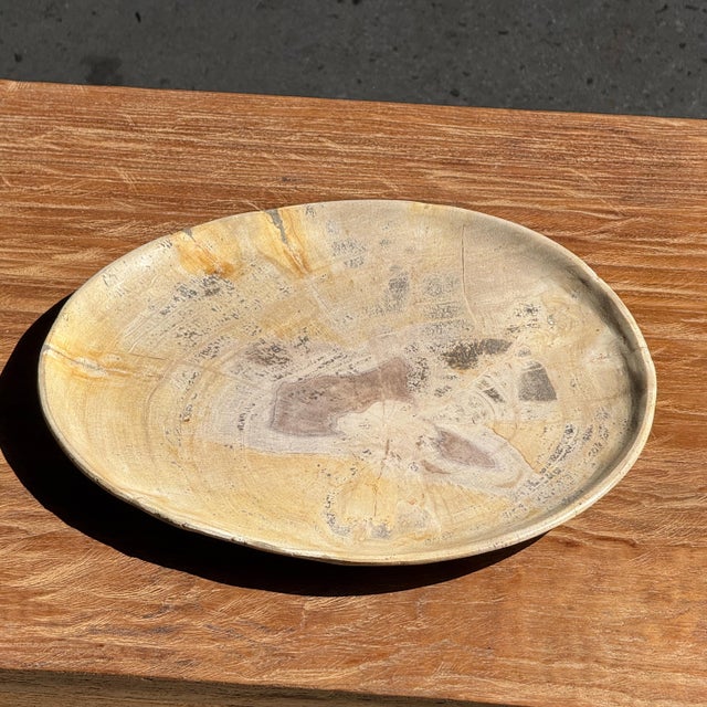 Beige Petrified Wood Trinket Tray or Dish, 1980s For Sale - Image 9 of 9