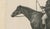 Maxim Gauci, Spankaway, Celebrated British Racehorse, Lithograph, 1840 For Sale - Image 5 of 10