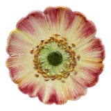 Majolica Pink Flower Plate, Delphin Massier, Circa 1890 For Sale