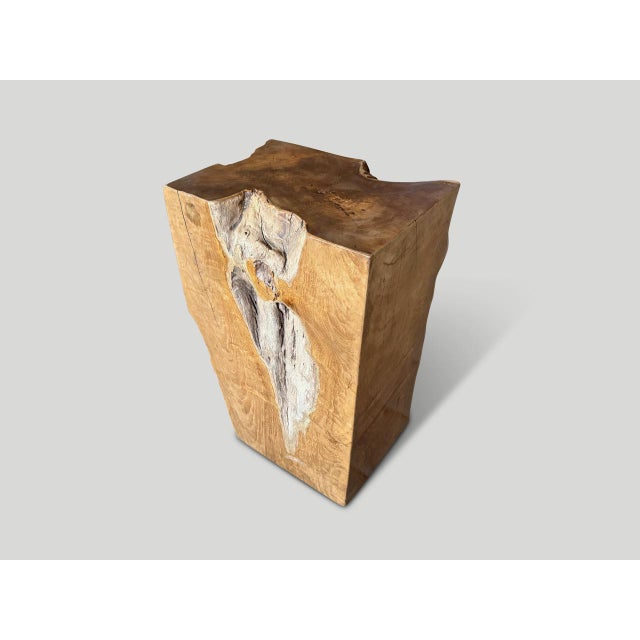 Andrianna Shamaris Sculptural Teak Wood Side Table Or Pedestal For Sale - Image 17 of 18