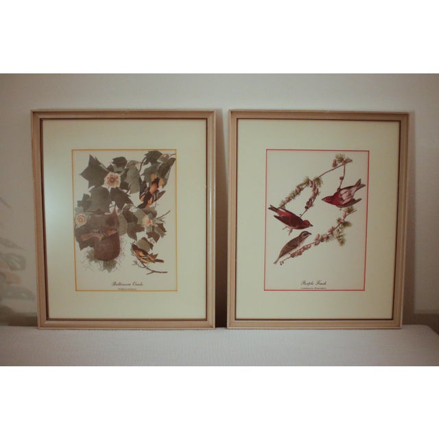 Pair of Original Mid-Century Avian Art Lithographic Prints Styled After Audubon, Framed For Sale - Image 16 of 17