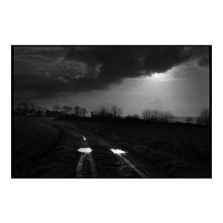 Original Photography Signed by Cyrille Druart 2018 For Sale