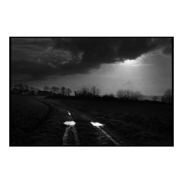 Original Photography Signed by Cyrille Druart 2018 For Sale