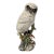 Vintage White Porcelain Owl by Ronzan From Italy ,Signed. For Sale