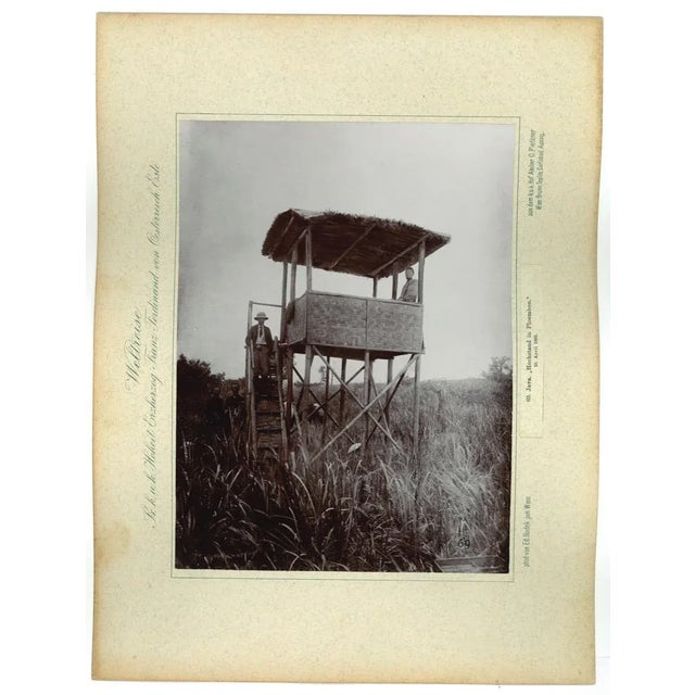 Java - High stand in Ploembon - April 16th 1893 - is an original vintage black and white photo realized during a journey...