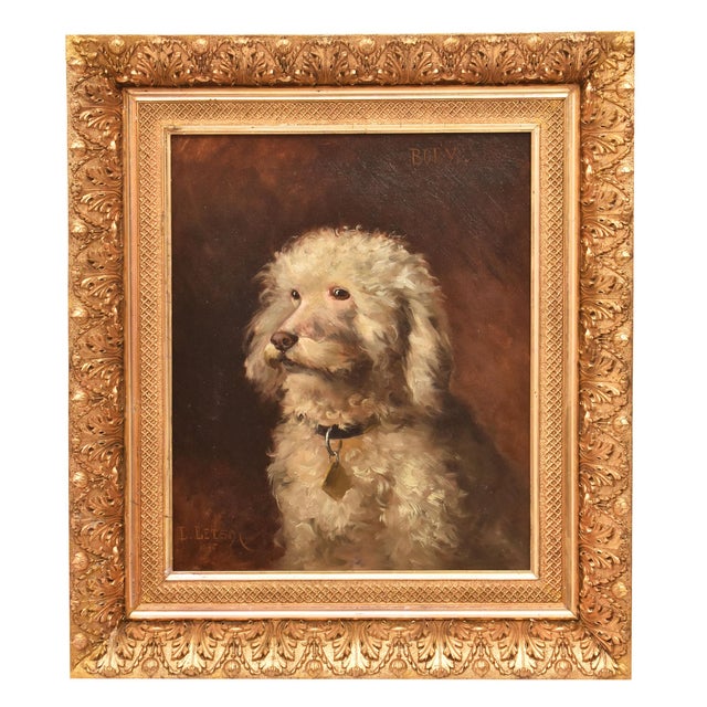 Louis Letsch, Portrait of Poodle, Oil on Canvas, 1896, Framed For Sale - Image 12 of 12