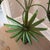 Mid 20th Century Vintage Hollywood Regency Palm Beach Metal Tole Palm Tree Planter For Sale - Image 5 of 12