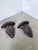 Italian Carved Wall Brackets, 1940s, Set of 2 For Sale - Image 18 of 18