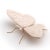 Contemporary Peacock Butterfly by Mambo Unlimited Ideas For Sale - Image 3 of 4