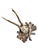 1900 - 1909 Roe Deer Trophy 221 Black Forest Antlers Mount For Sale - Image 5 of 7