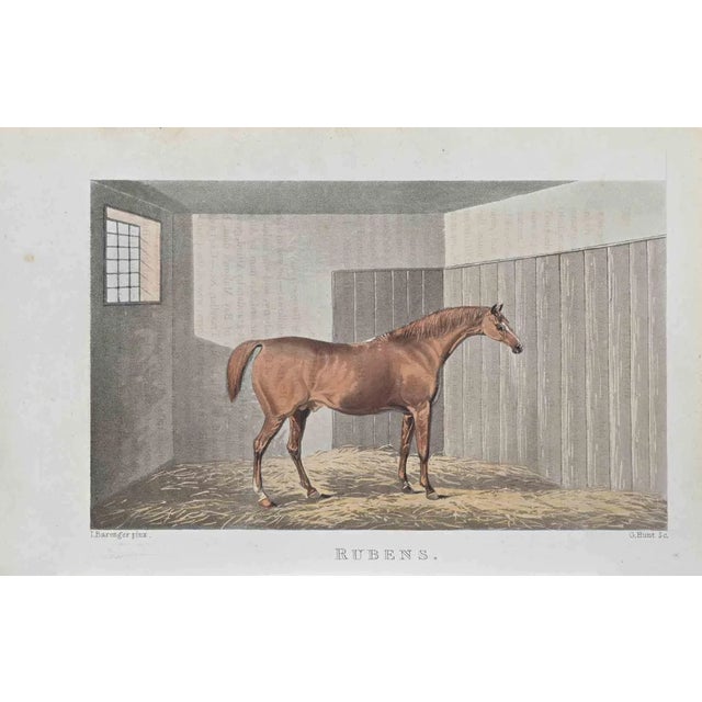 James Barenger, Rubens, Etching, 1822 For Sale