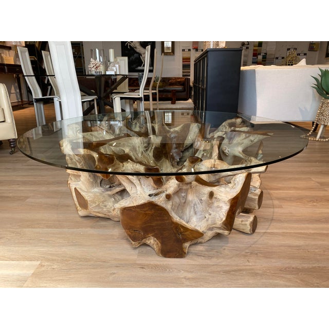 Art Deco Teak Root Ball Base Glass Top Coffee Table Lg For Sale - Image 3 of 10
