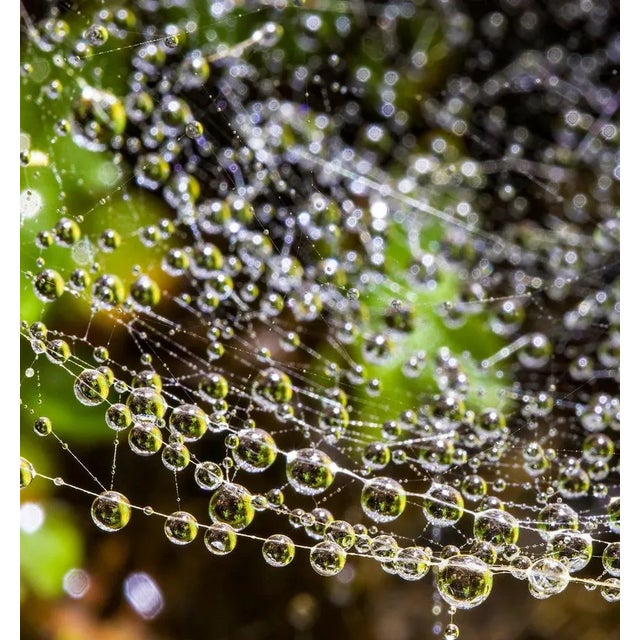 Contemporary Sam Thomas, Droplets, 2014, Pigment Print For Sale - Image 3 of 6