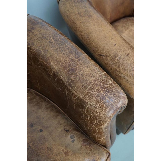 Animal Skin Vintage Dutch Cognac Colored Leather Club Chairs, Set of 2 For Sale - Image 7 of 18