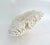 Late 20th Century Massive Natural Table Coral Specimen For Sale - Image 5 of 8