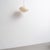 Mid-Century Modern Paper Akari 26a Ceiling Lamp attributed to Isamu Noguchi, 1980s For Sale - Image 12 of 18