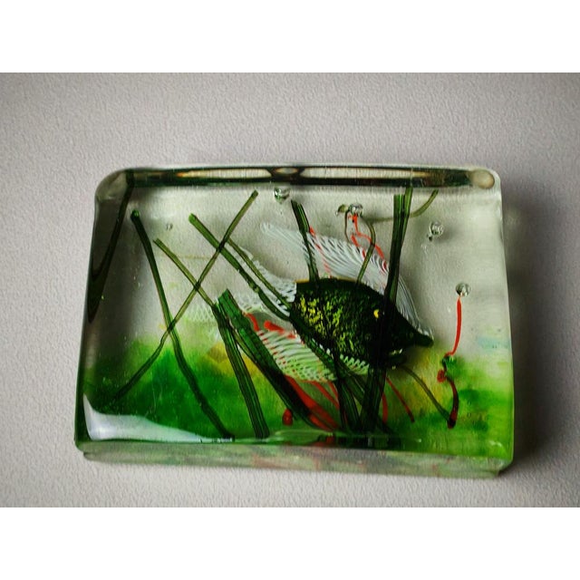 Vintage Aquarium in Murano Glass by Alfredo Barbini for Cenedese, 1960s For Sale - Image 9 of 9
