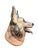 Lladro Porcelain German Shephard Dog Bust by Zaphir, a Line by Lladro, Made in Spain, 1970s For Sale - Image 4 of 10
