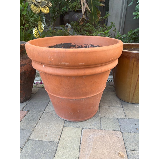 Large Vintage Italian Terracotta Garden Planter With Rolled Rim, Tuscany For Sale - Image 9 of 12