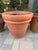 Large Vintage Italian Terracotta Garden Planter With Rolled Rim, Tuscany For Sale - Image 9 of 12