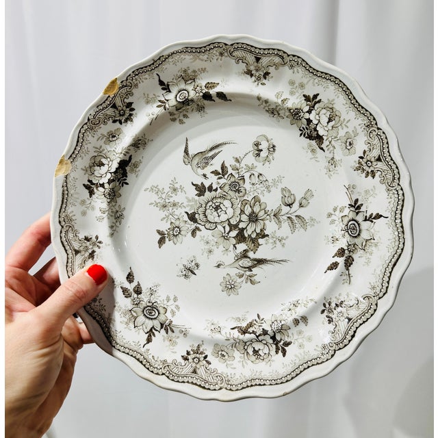 Set of Antique Podmore Walker and Co English Brown Transferware Dinner Plates For Sale In Raleigh - Image 6 of 10