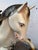 Vintage Mechanical Coin-Operated Powered Children's Ride-on Horse For Sale - Image 4 of 17
