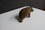 American Black Forest Carved Wooden Bear Figurine For Sale - Image 3 of 10