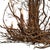 Wood Late 20th Century Six-Arm Found Twig Chandelier For Sale - Image 7 of 10