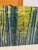 Peter Lik "Endless Birches" Photographic Acrylic Mount For Sale - Image 12 of 17