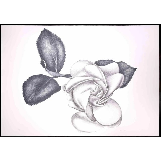 Black Rose is an original modern artwork realized by the Italian artist Giacomo Porzano (1925-2006) in 1972 Black and...