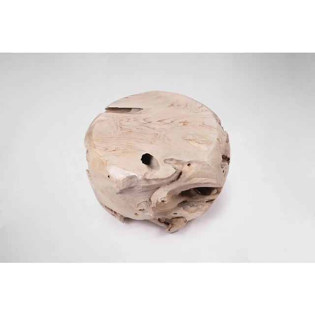 Bleached White Teak Root Accent or Side Table or Stool 28 For Sale In Greensboro - Image 6 of 6