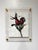 Paint Vintage Rose Hip - Hand Textured Red Rose Hip Art For Sale - Image 7 of 7
