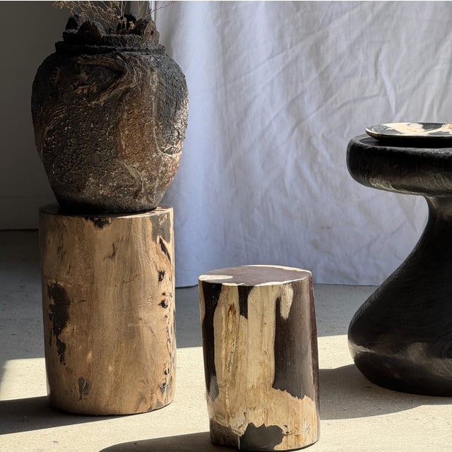 Brutalist Side Table in Brown and Black Petrified Wood, 1980s For Sale - Image 3 of 18