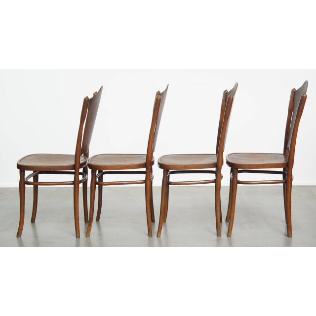 Antique Bentwood Chairs with Carvings by Jacob and Josef Kohn for Thonet, Set of 4 For Sale - Image 5 of 18
