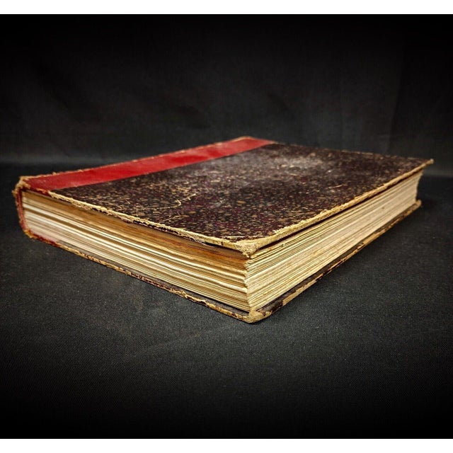 Brown Les Animaux Vivants Du Monde: Tome 1 - Mammifères Book by Charles J. Cornish For Sale - Image 8 of 9