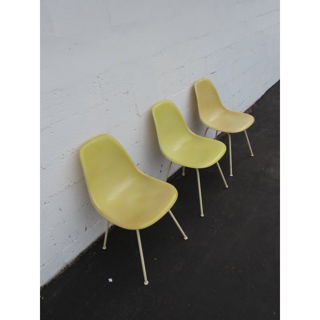 Yellow Herman Miller Eames Set of 3 Fiberglass Shell Chairs 1960s Light Yellow 6640 For Sale - Image 8 of 18